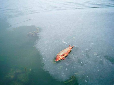 深圳水質(zhì)檢測 深圳水質(zhì)檢測