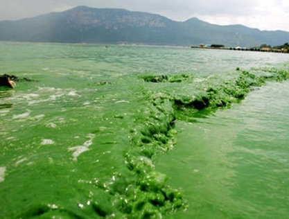 第三方水質(zhì)檢測(cè)公司 第三方水質(zhì)檢測(cè)公司