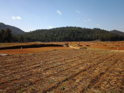 深圳水質(zhì)檢測(cè)機(jī)構(gòu) 深圳水質(zhì)檢測(cè)機(jī)構(gòu)