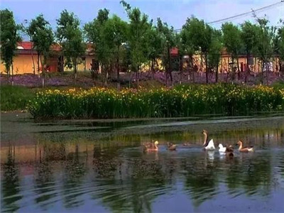 第三方水質檢測機構 第三方水質檢測機構